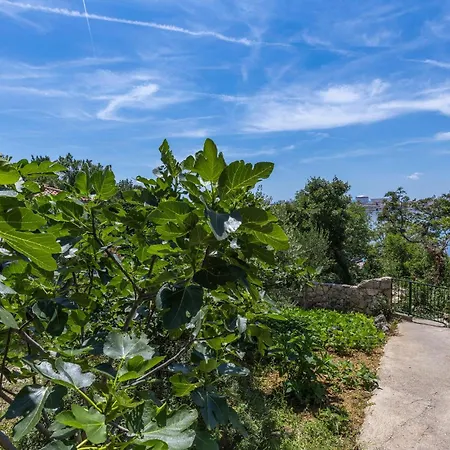 1 Bedroom Gorgeous In Appartamento Omišalj
